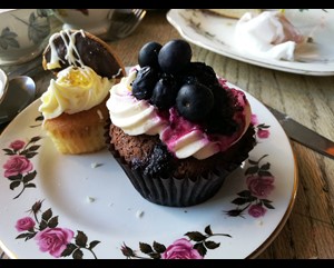 Blueberry cupcake