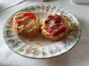 Fruit scone at the Cleveland Tontine