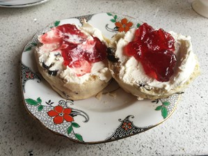 Scone at 12 Harland Place