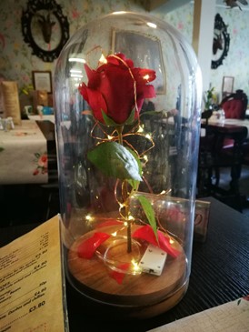 Rose at Remember Me tearooms